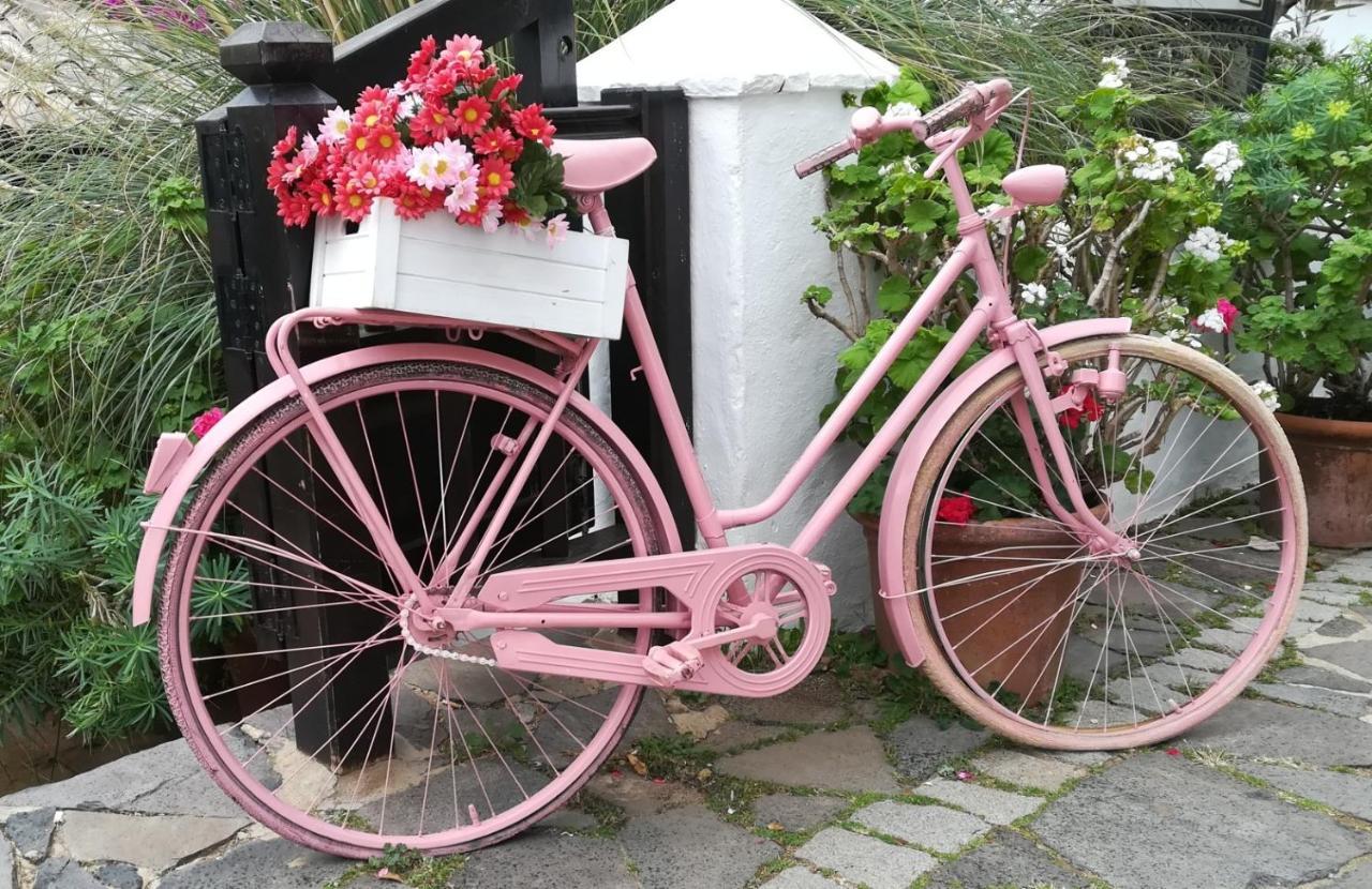 Bed & Breakfast Descanso Y Relax 푸에르토델로사리오 외부 사진